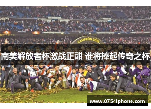 南美解放者杯激战正酣 谁将捧起传奇之杯